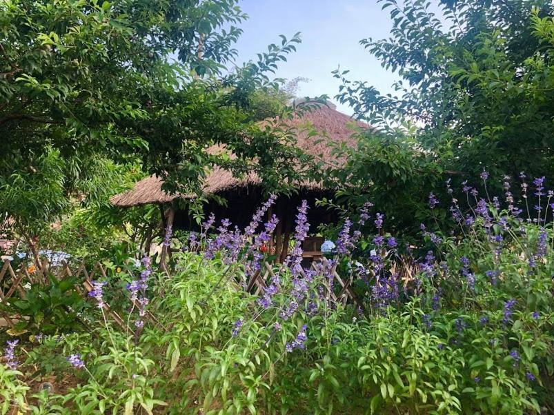 مبيت وإفطار Savana موك تشاو المظهر الخارجي الصورة